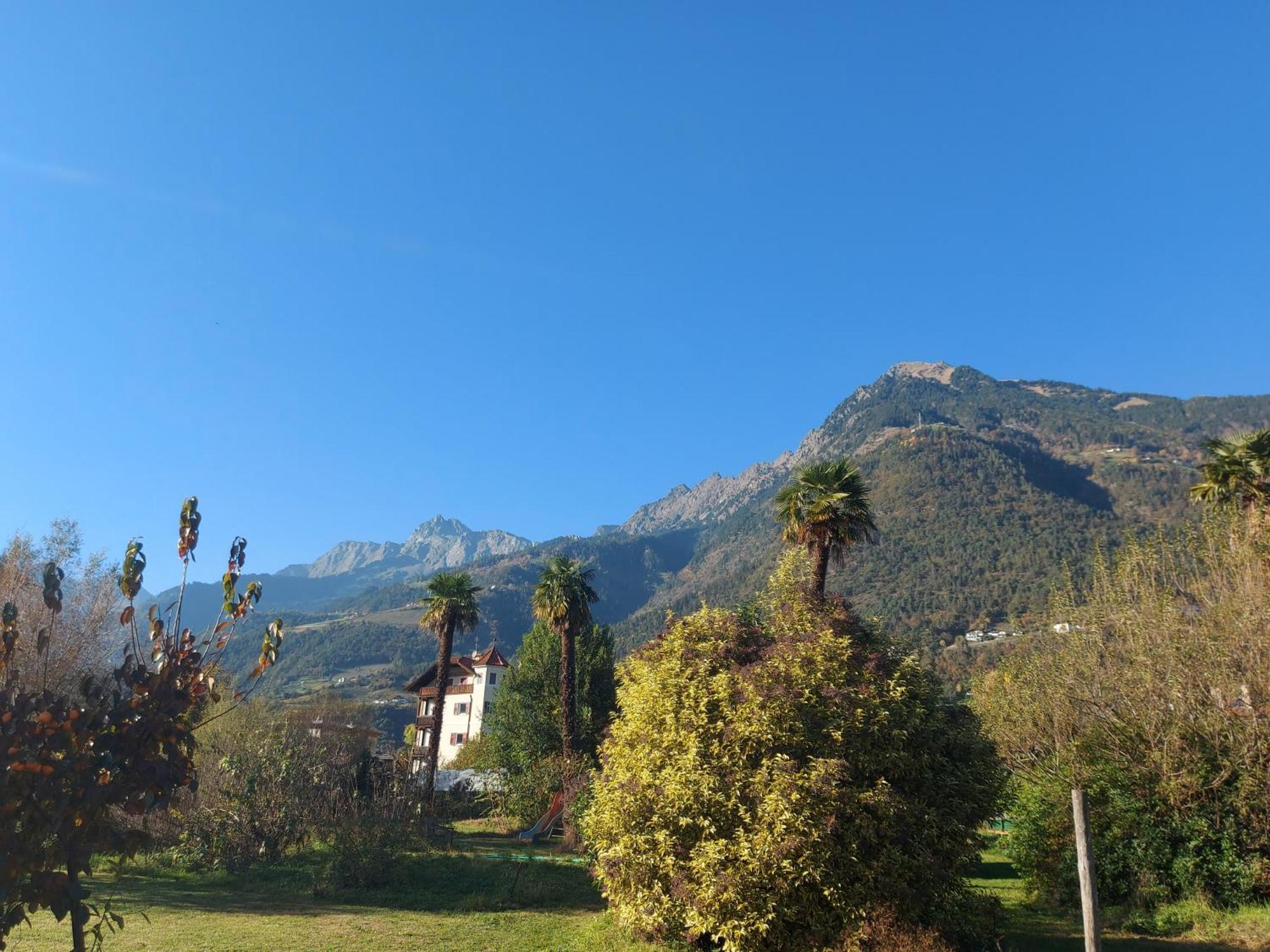 Bergblick Auf Bio-hof *